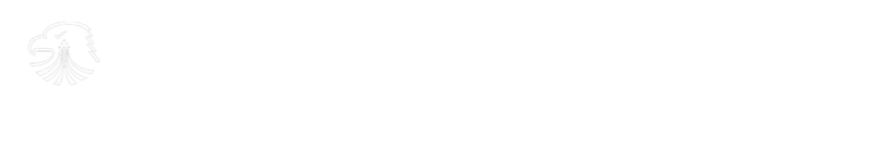 Black Eagles Logo